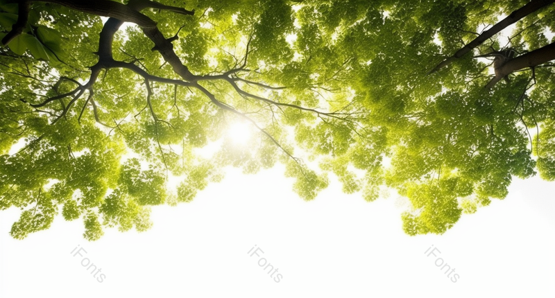 春天树叶天空绿色广告背景,高清,摄影图,摄影图片,图片大全,摄影图免费下载